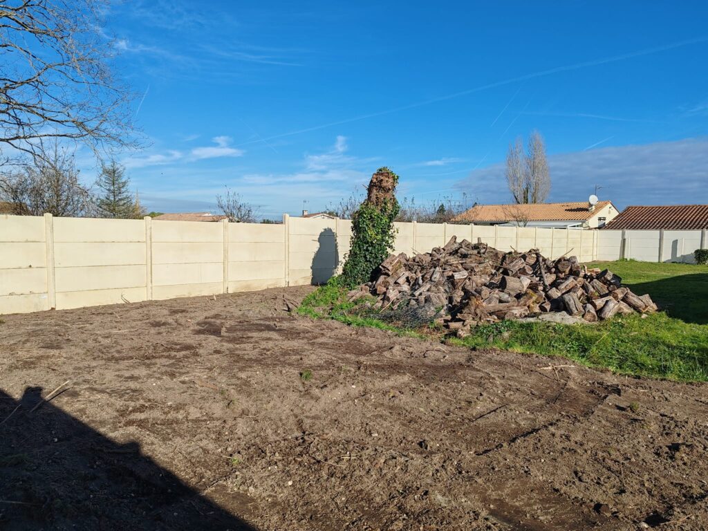 Tas de bûches de bois et souche de lierre devant une clôture de jardin beige sur un terrain en terre nue.