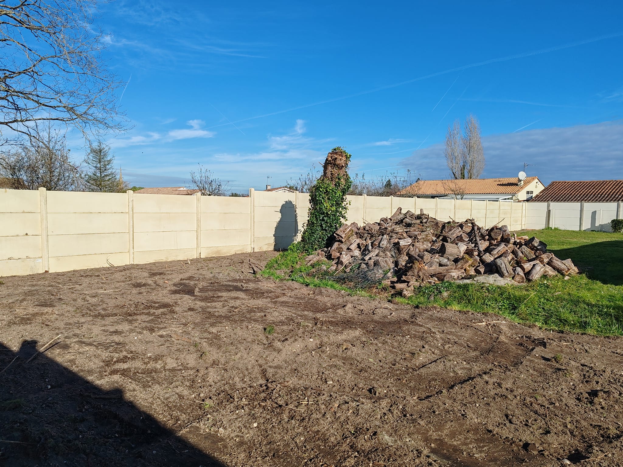 Aménagement de jardin : tas de bois et clôture en béton Tas de bûches de bois et souche de lierre devant une clôture de jardin beige sur un terrain en terre nue.